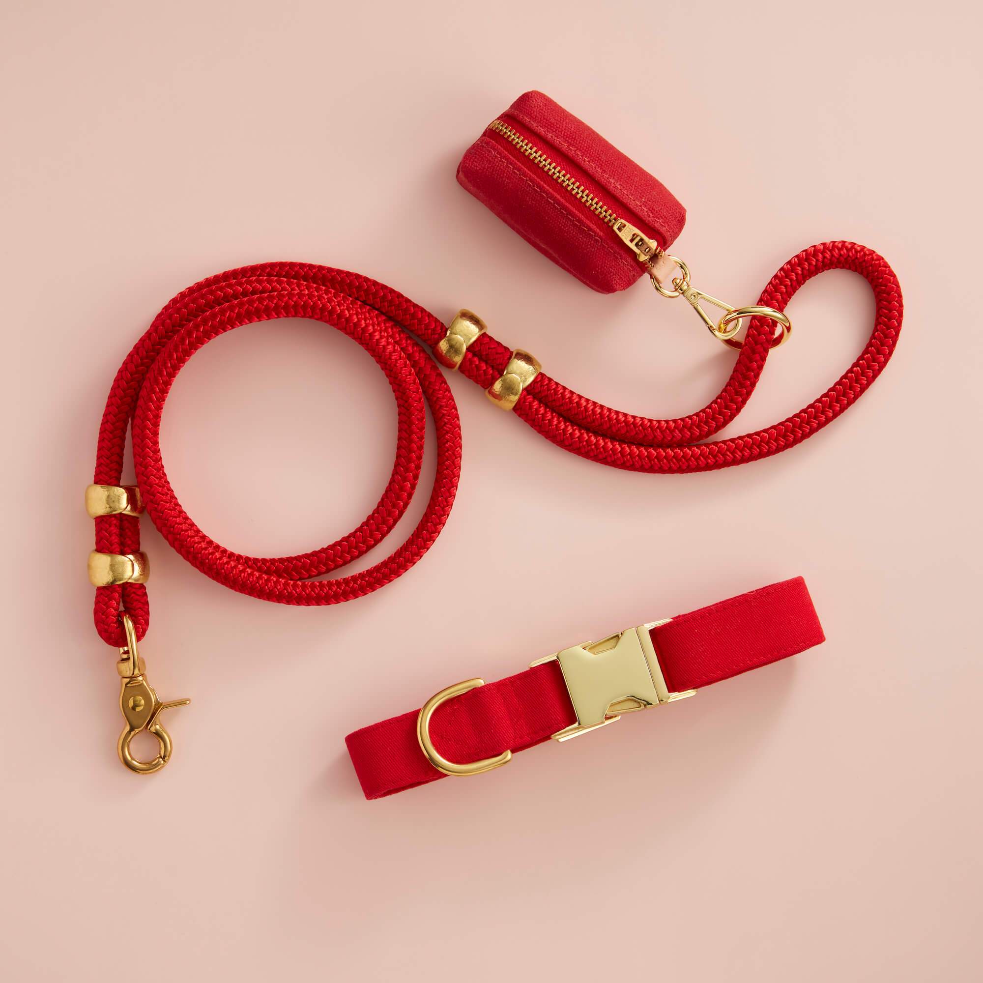 Ruby Dog Collar: M / Gold