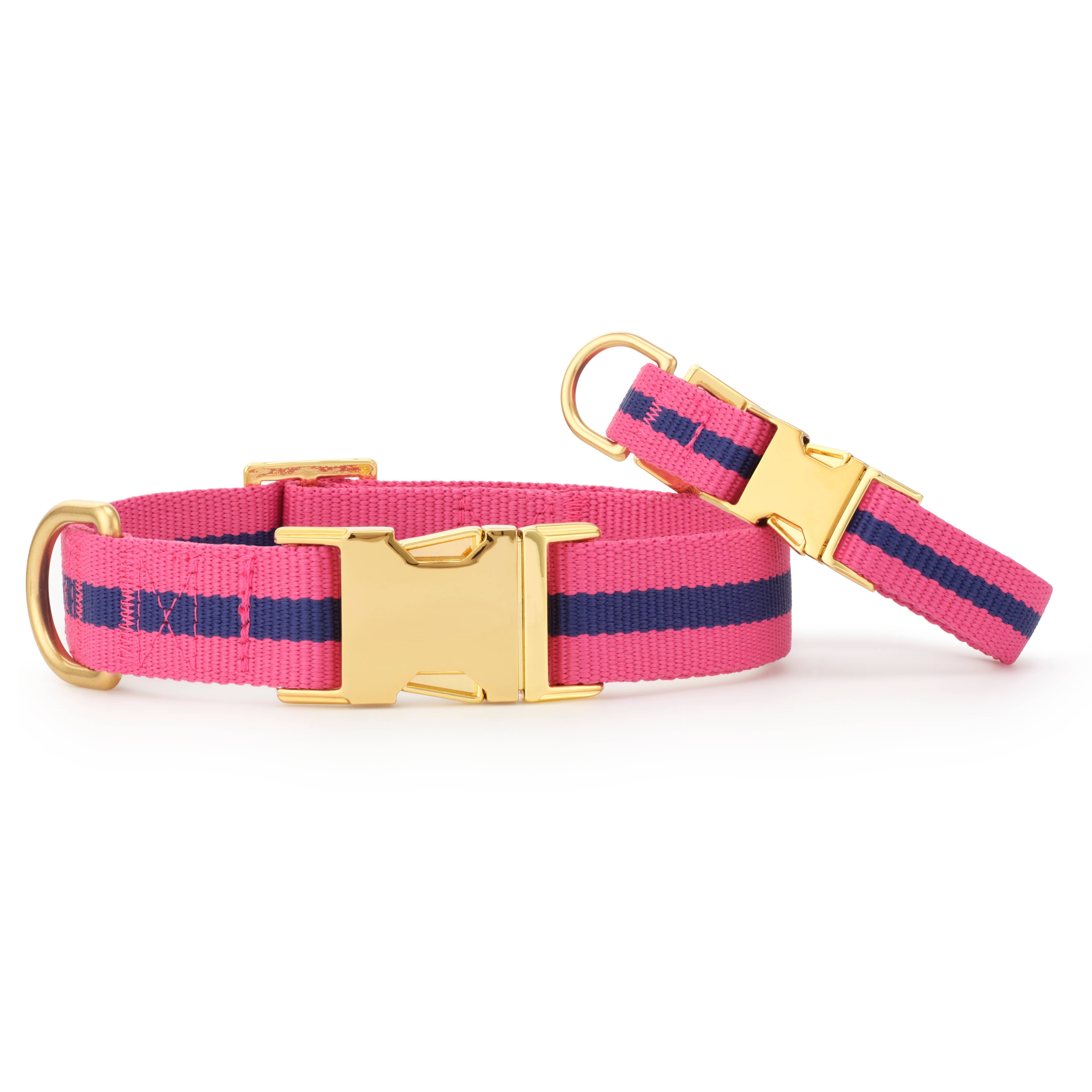 Sloane Striped Webbing Dog Collar: S - 11-16”