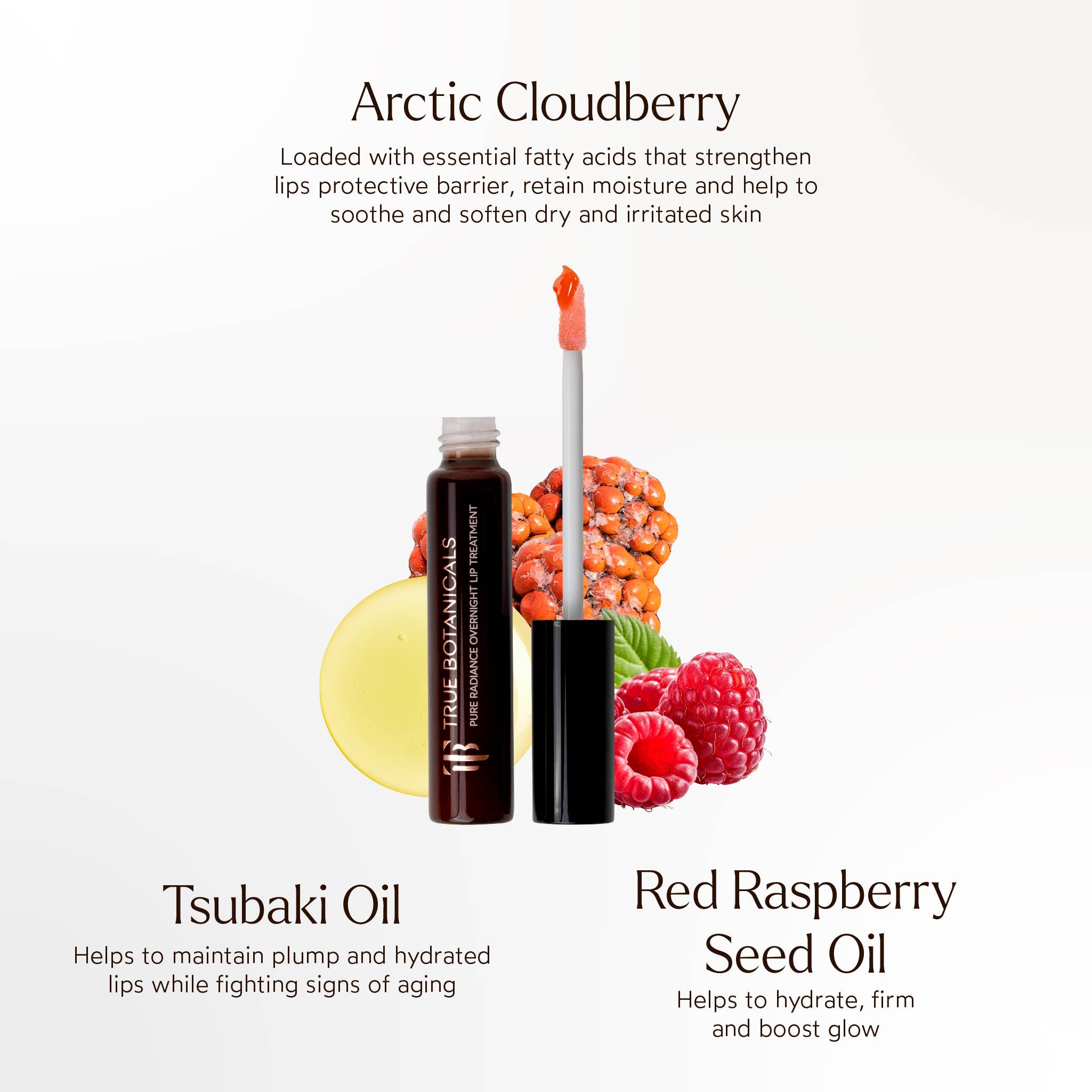 Overnight Repair Lip Treatment