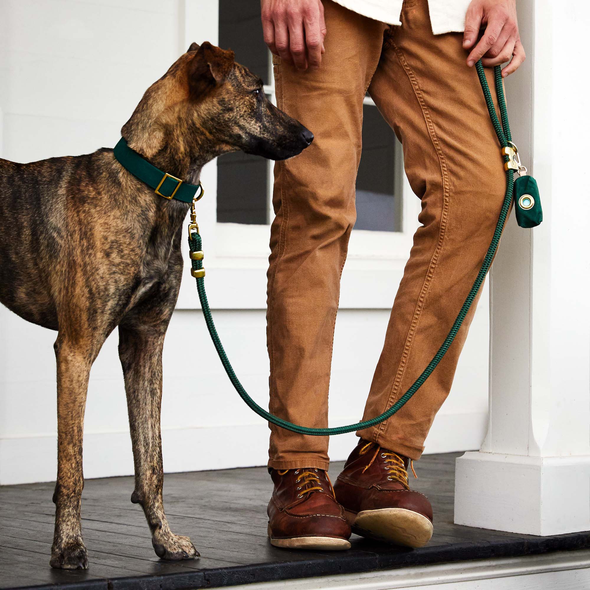 Evergreen Marine Rope Dog Leash: Petite 5 Feet