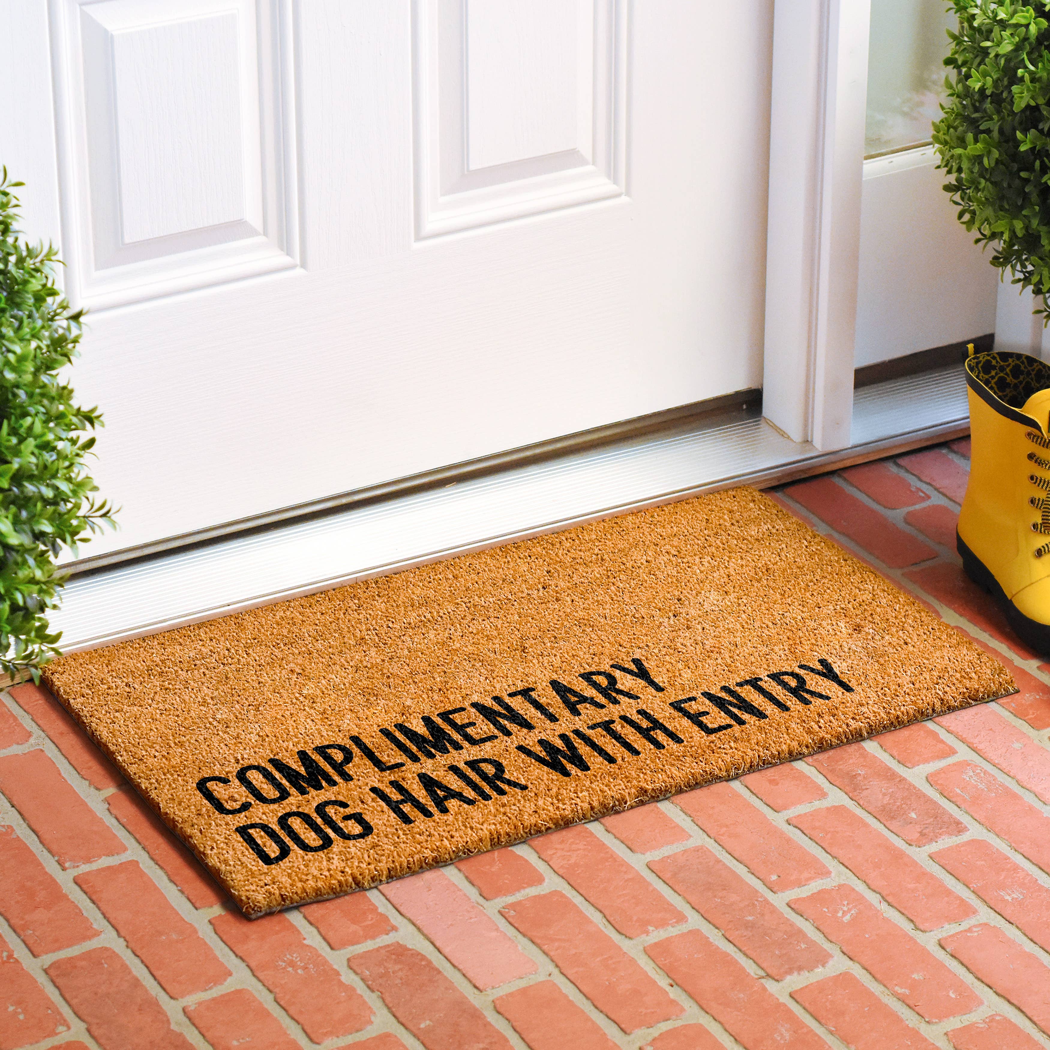 Complimentary dog hair with entry Doormat: 17'' x 29''