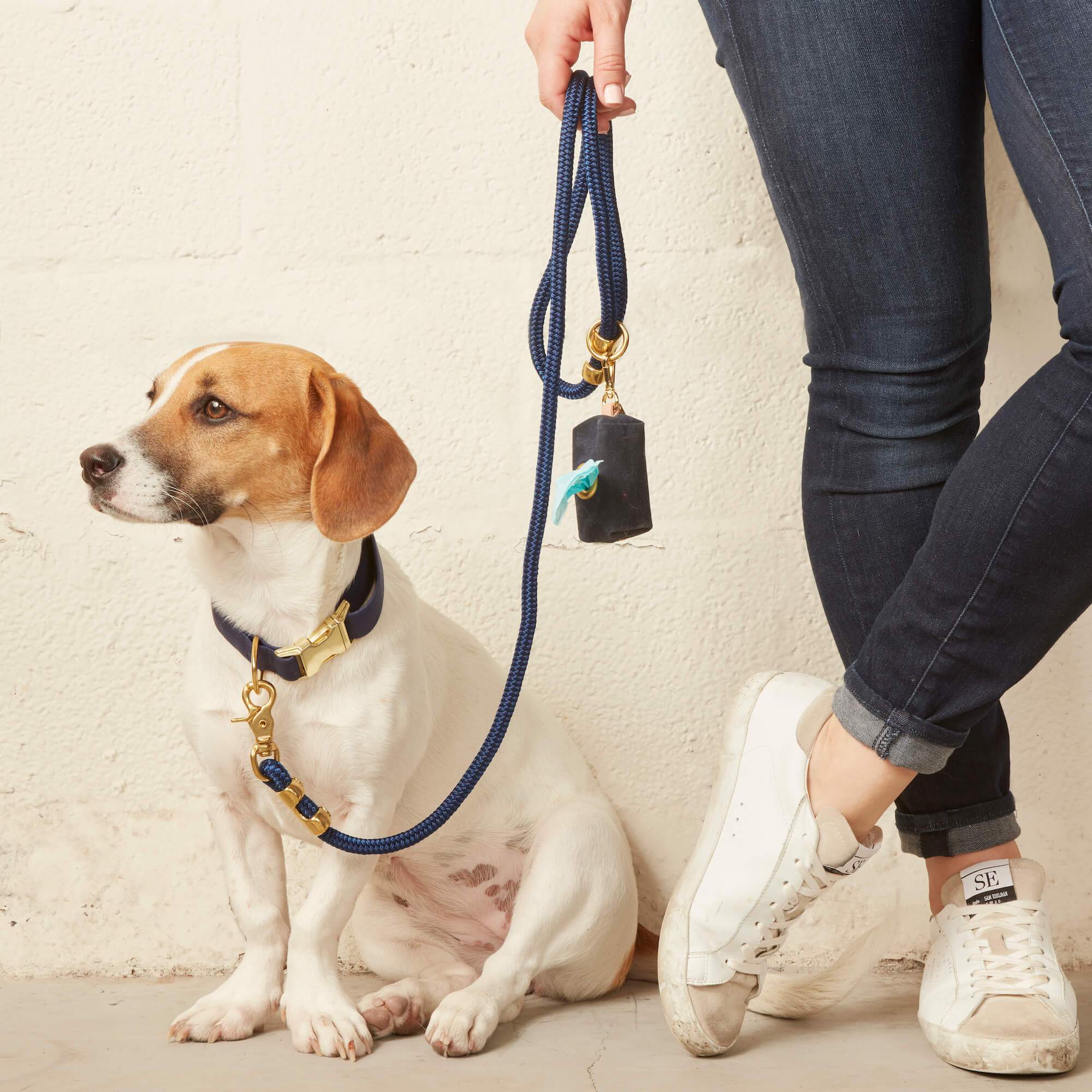 Ocean Dog Collar: S / Gold