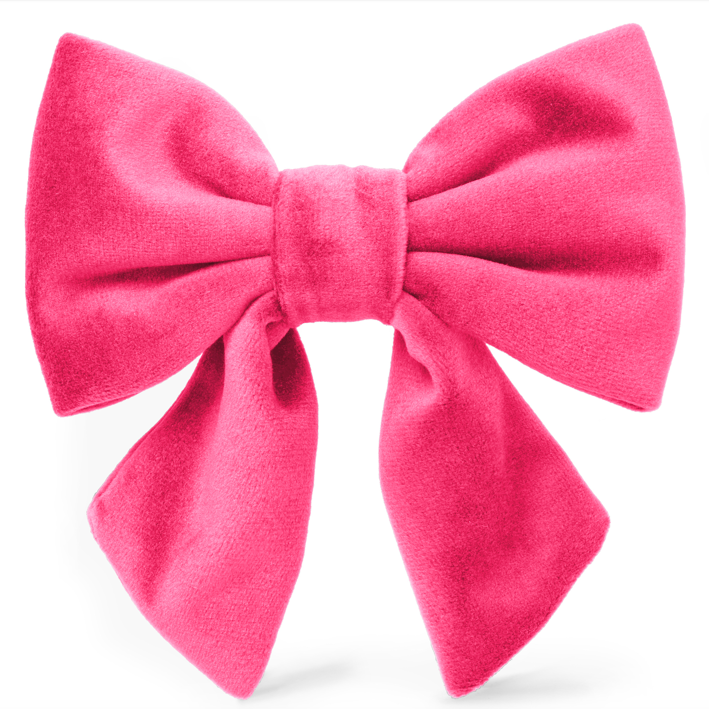 Hot Pink Velvet Lady Dog Bow: Large