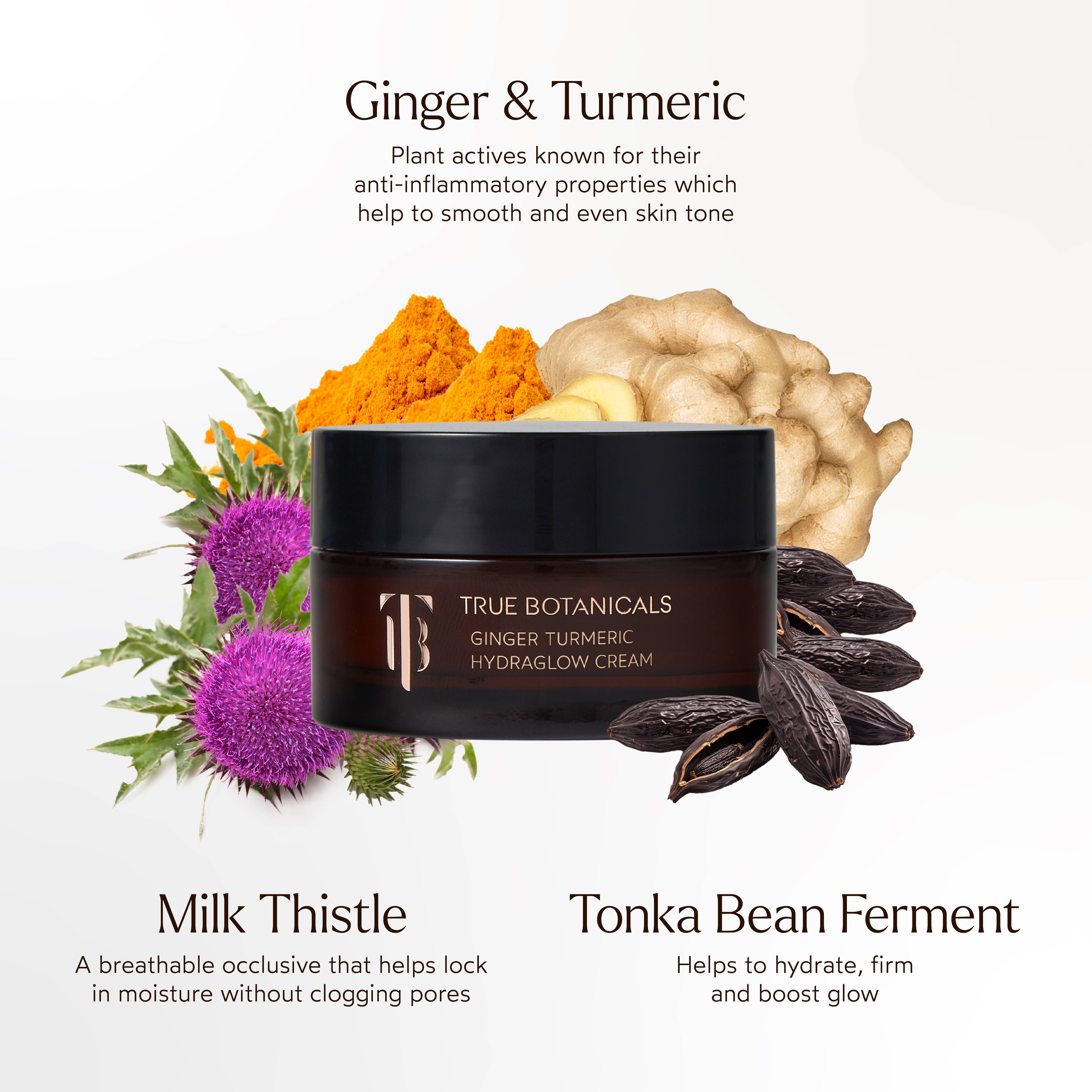 Ginger Turmeric Hydraglow Cream: Standard