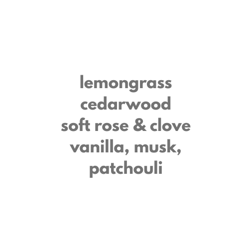 "Surf Naked" 10 oz Soy Candle: Illustrated Glass Soy Candle