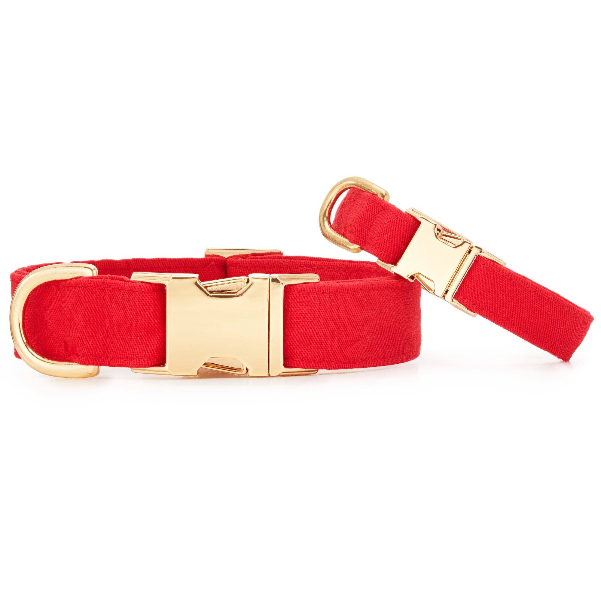 Ruby Dog Collar: S / Gold
