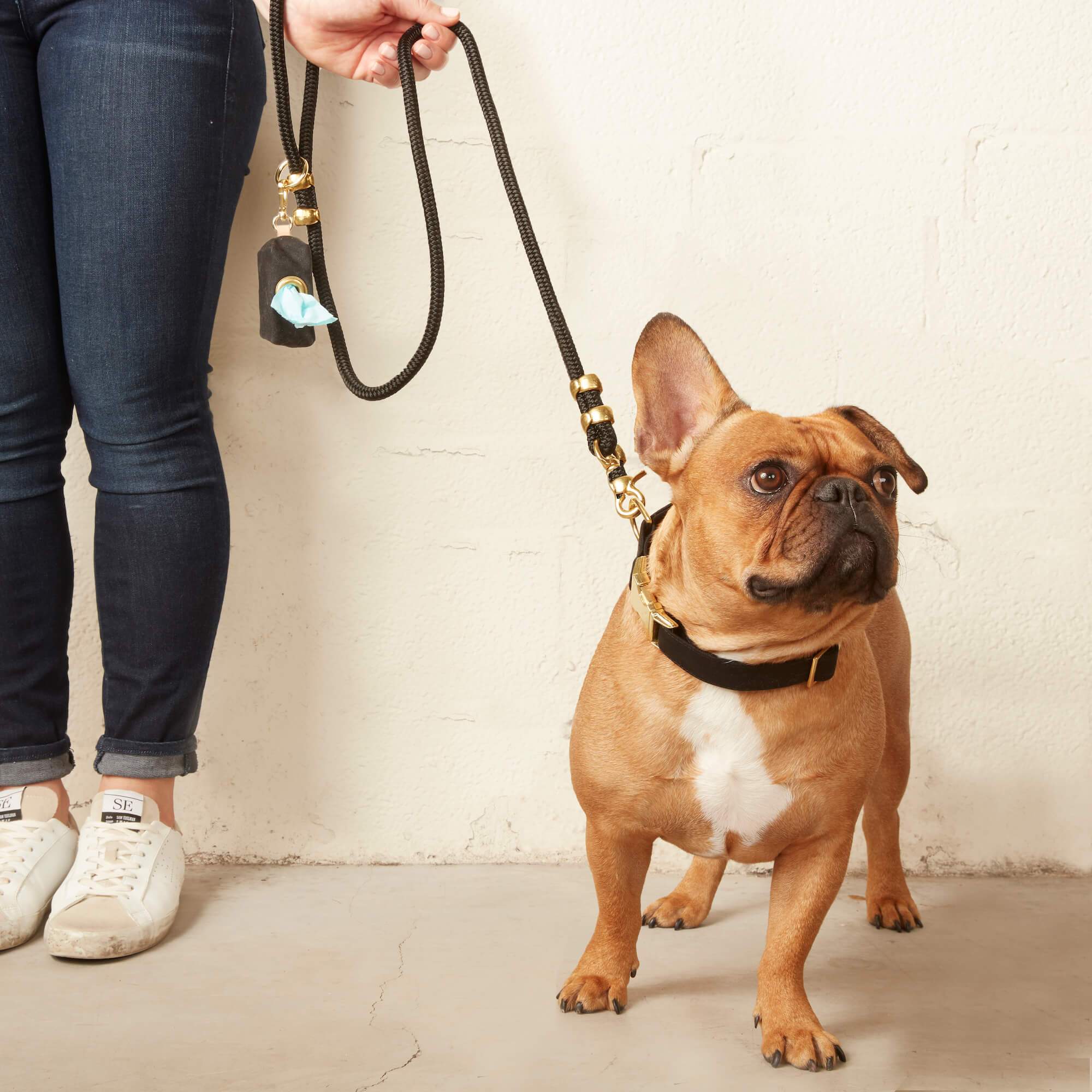 Onyx Marine Rope Dog Leash: 5 feet