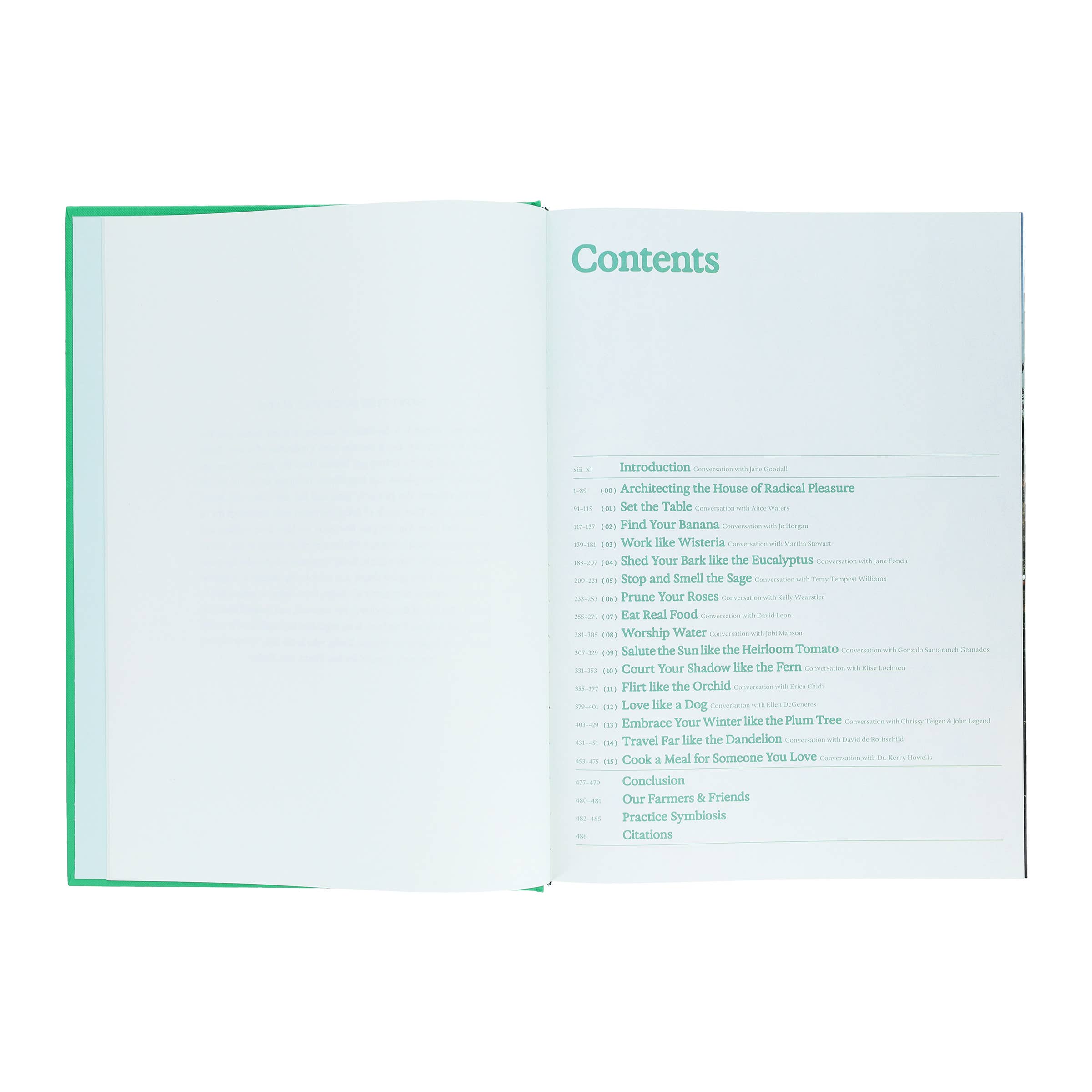 Flamingo Estate: The Guide to Becoming Alive