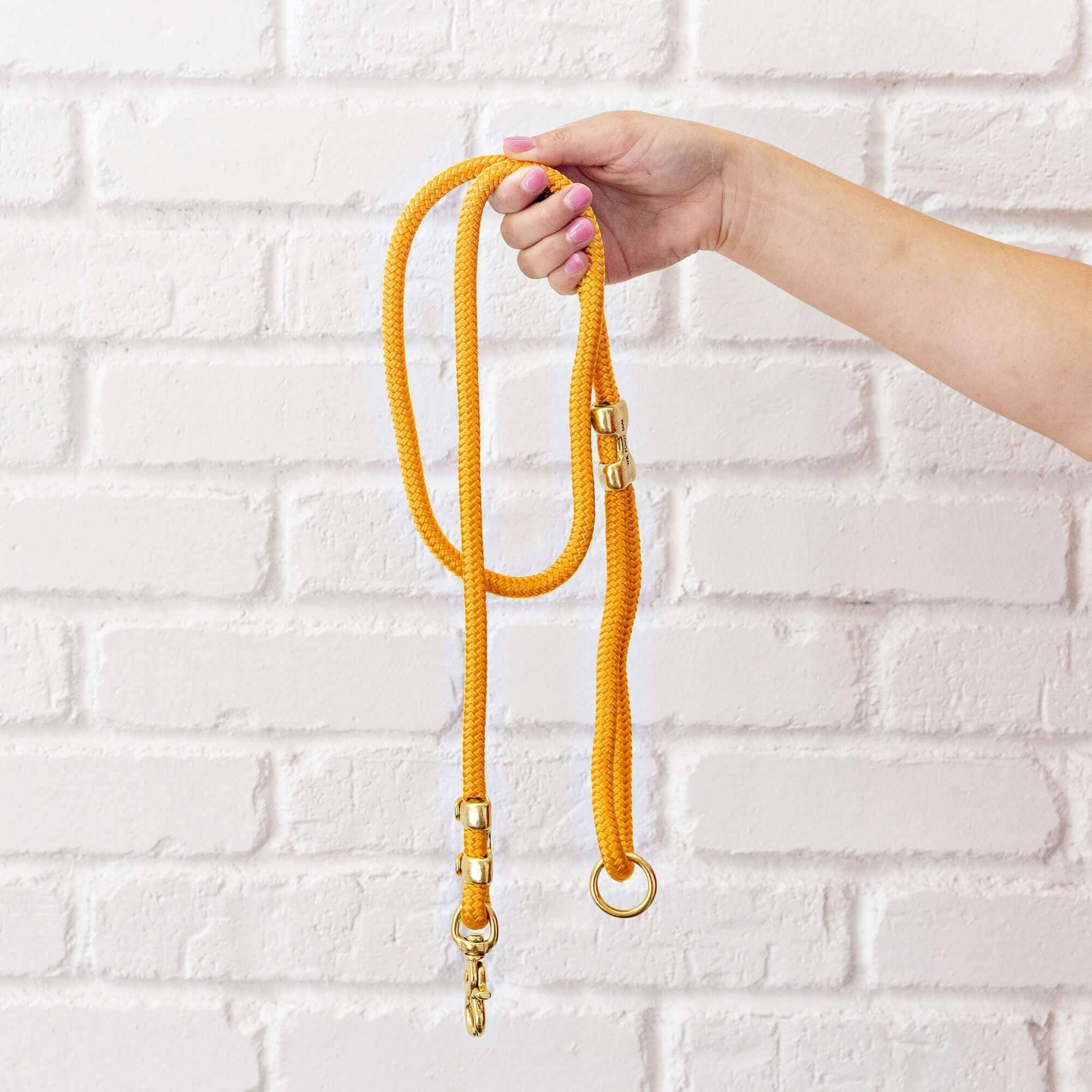 Goldenrod Marine Rope Dog Leash: 5 Feet