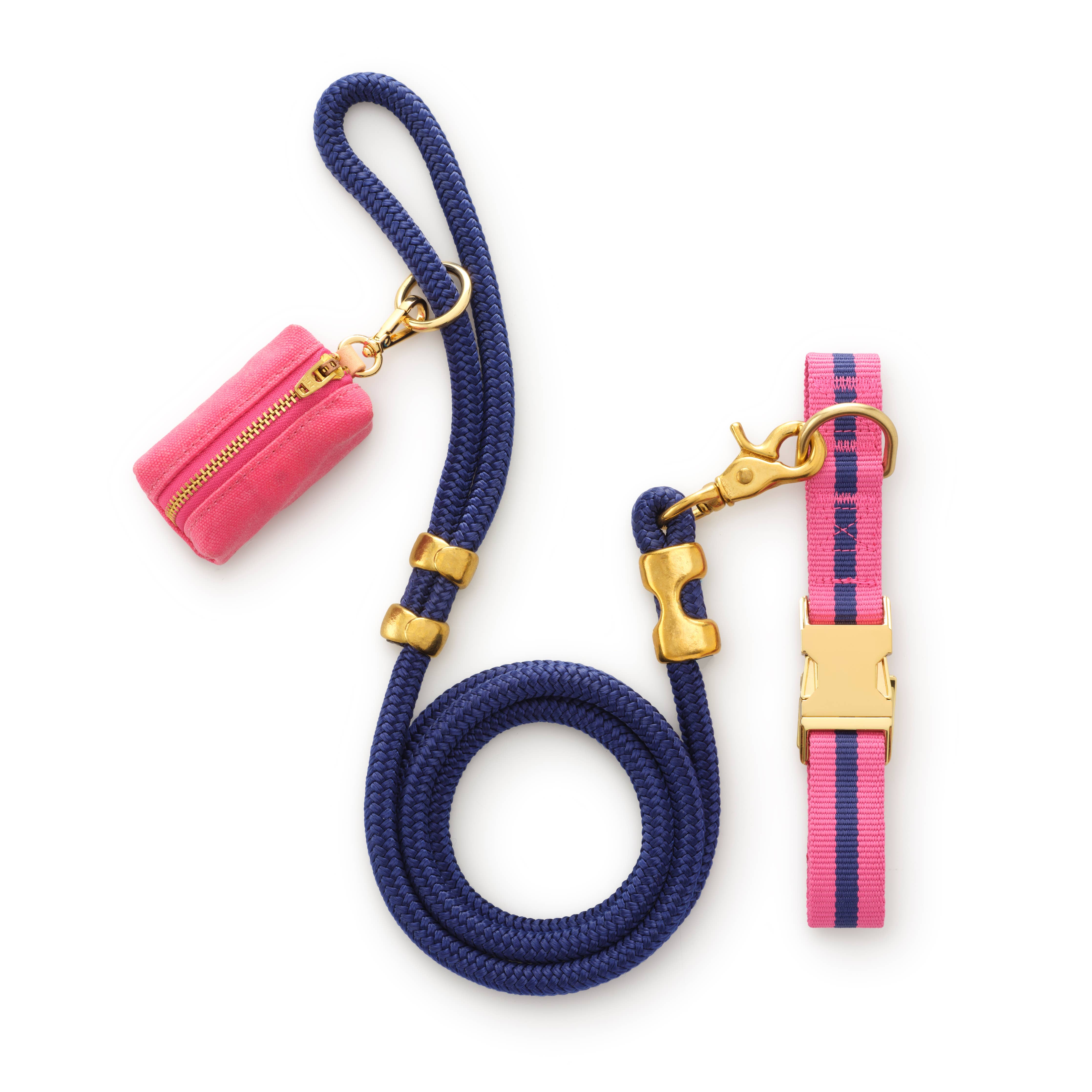 Sloane Striped Webbing Dog Collar: XS - 8-11”