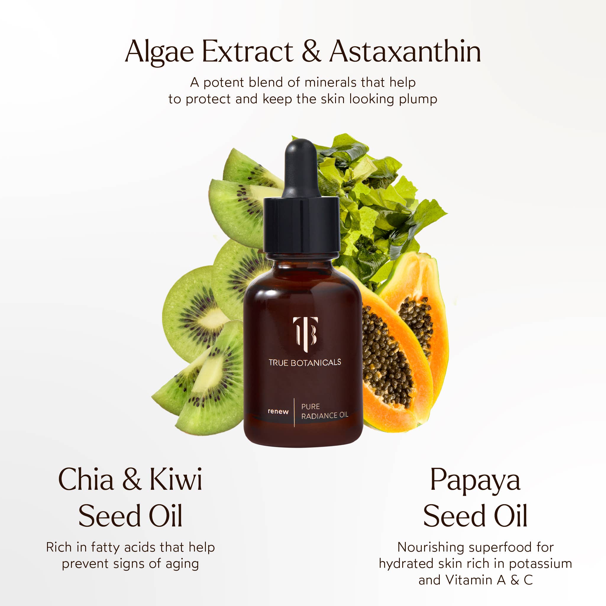 Renew Pure Radiance Hydrating Facial Oil: Full Size (1 fl oz | 30 ml)