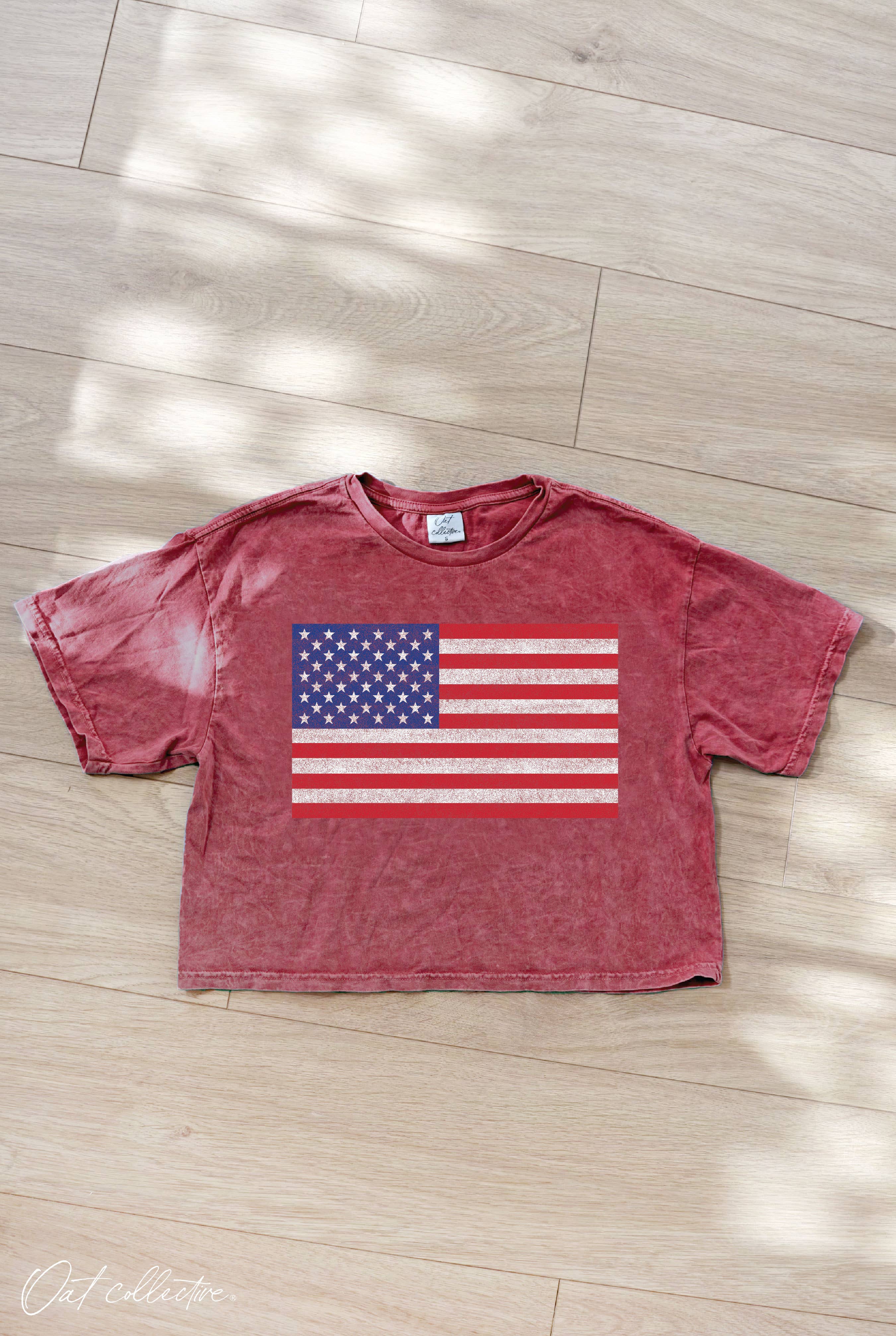 USA FLAG Cropped Mineral Graphic Top: SOFT PINK / S