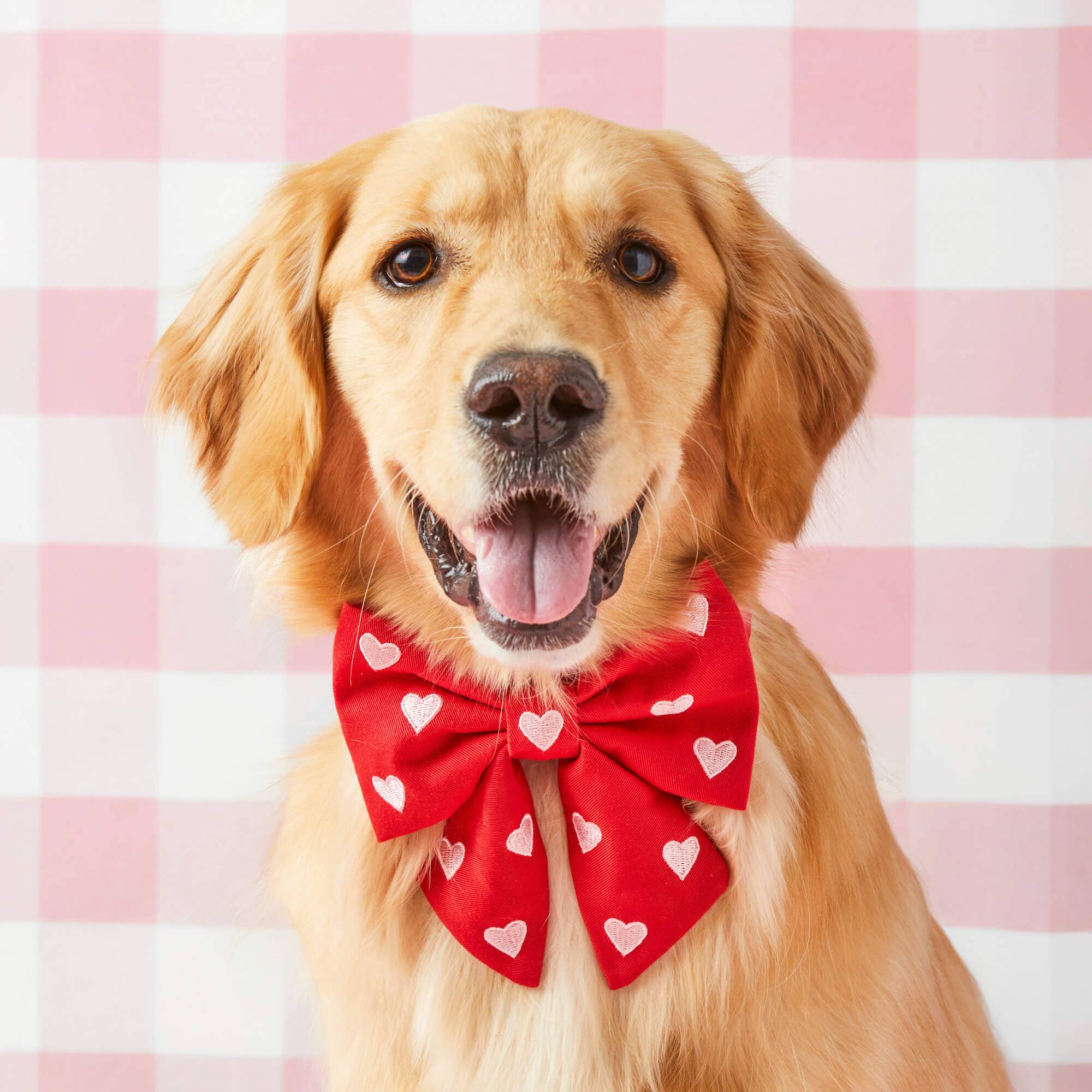 Hearts Embroidered Lady Dog Bow: Small