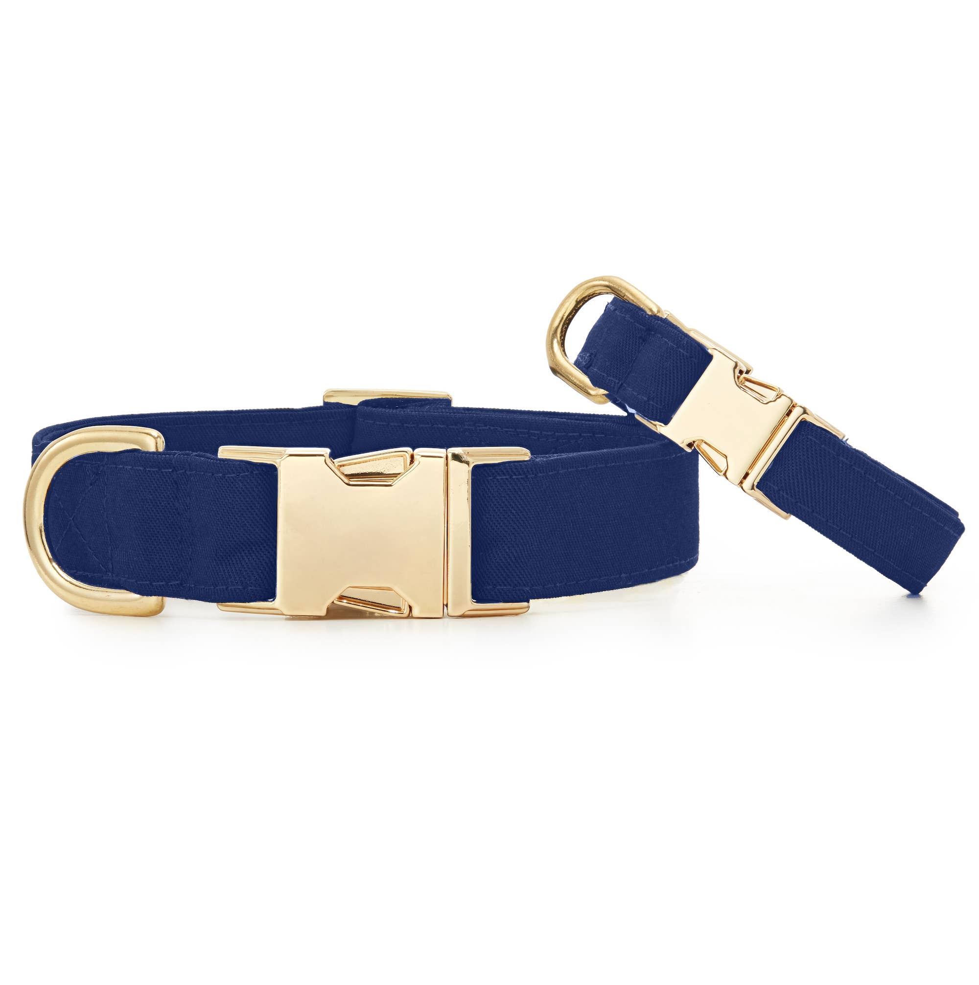 Ocean Dog Collar: XS / Gold